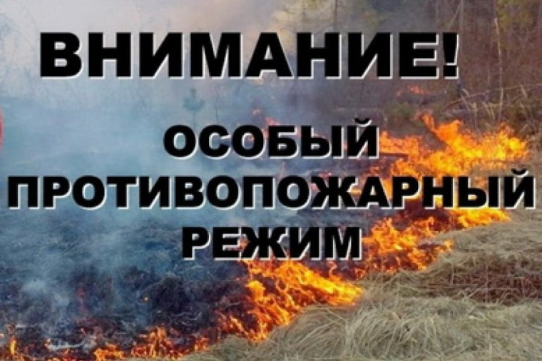 Регион в условиях особого противопожарного режима и режима повышенной готовности. Регион в условиях особого противопожарного режима и режима повышенной готовности.