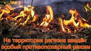 Регион и город в условиях пожароопасного сезона и особого противопожарного режима. Регион и город в условиях пожароопасного сезона и особого противопожарного режима.